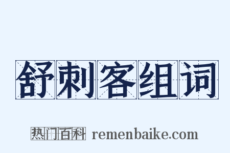 舒刺客组词是什么意思的图片